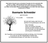 eine Anzeige